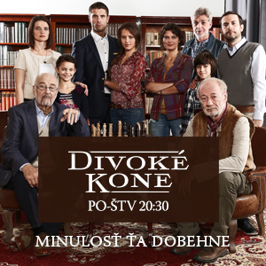 Divoke kone